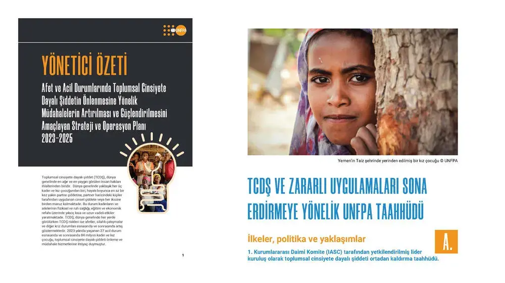 UNFPA Acil Durumlarda Cinsiyete Dayalı Şiddet İçin Müdahalelerin Ölçeklendirilmesi ve Güçlendirilmesi Stratejisi ve Operasyonel Planı, 2023-2025: Özet