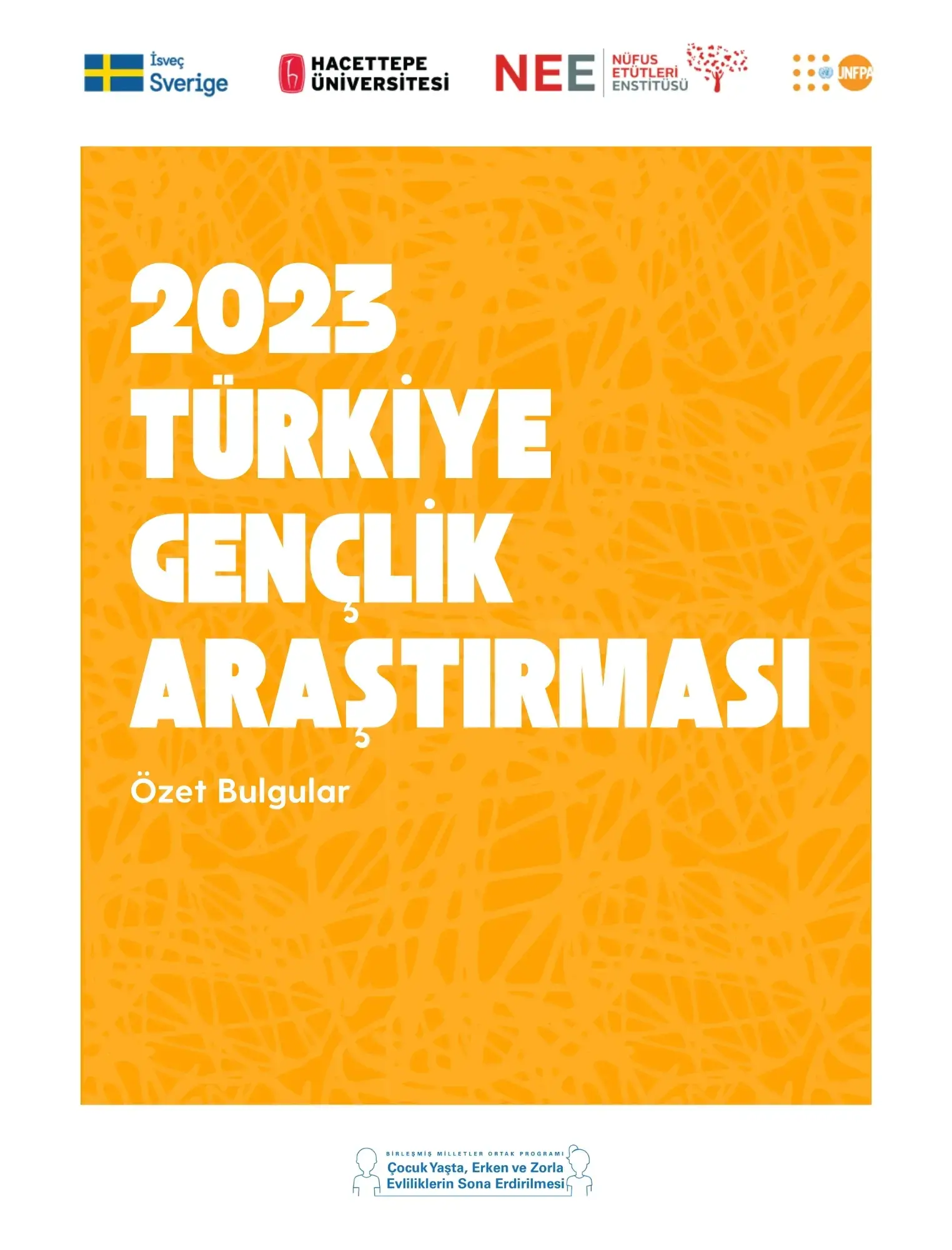 2023 TÜRKİYE GENÇLİK ARAŞTIRMASI, ÖZET BULGULAR