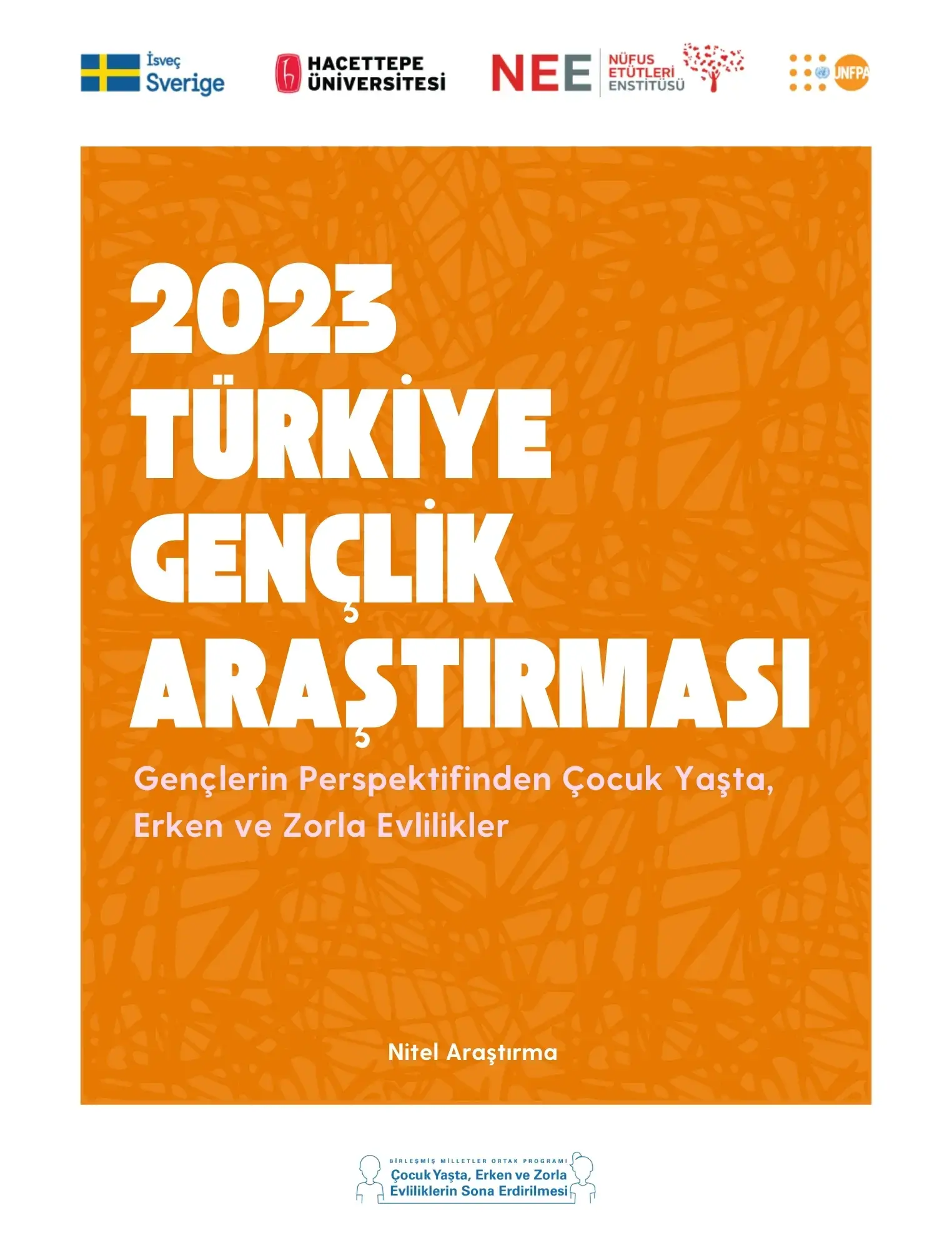 2023 TÜRKİYE GENÇLİK ARAŞTIRMASI, NİTEL ARAŞTIRMA